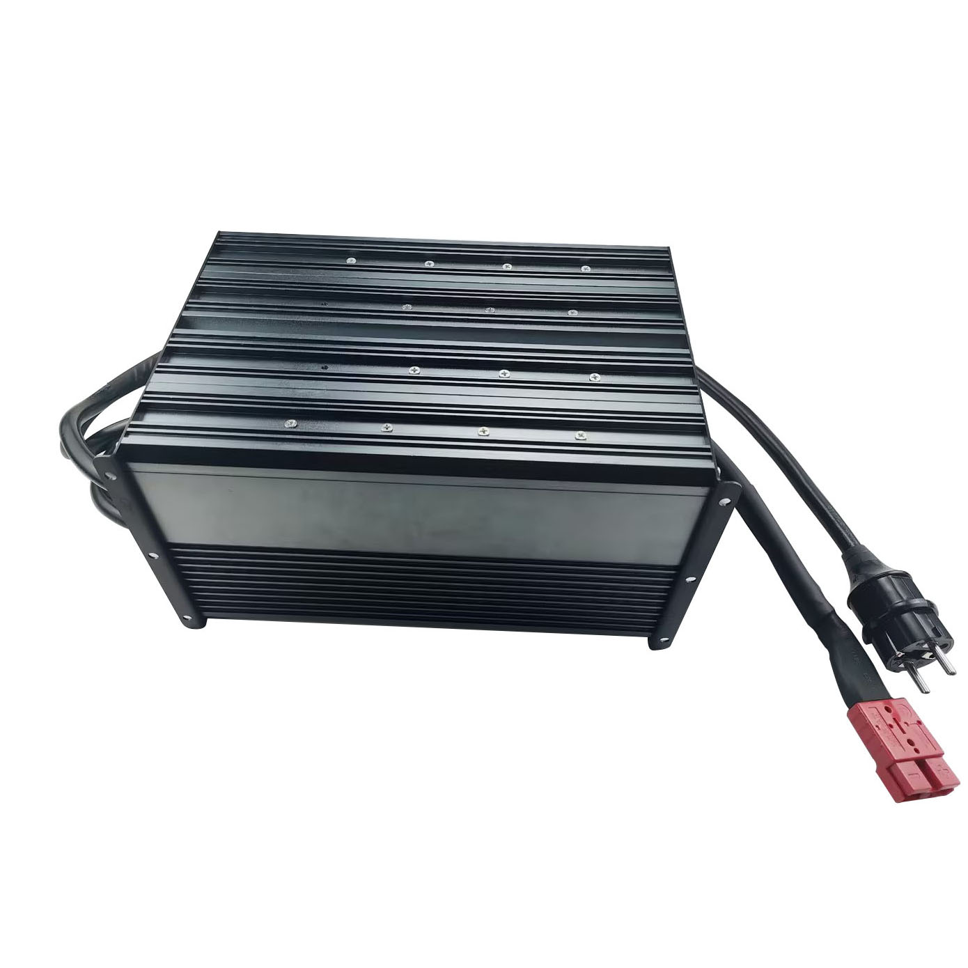 2920W 8S 29.2V 100A LiFePO4 Fa - огляд і ціна Chargers